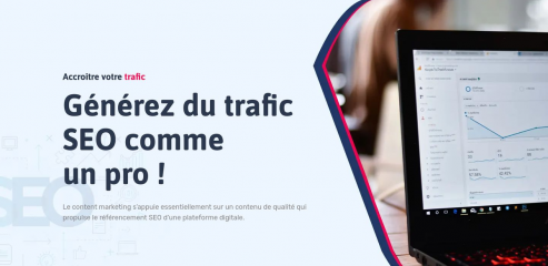 https://www.observatoire-seo.fr